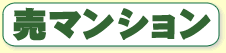”„‚èƒ}ƒ“ƒVƒ‡ƒ“